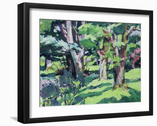 Trees at Auchinleck, Ayrshire-Francis Campbell Boileau Cadell-Framed Giclee Print