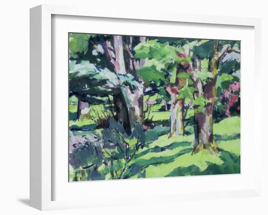 Trees at Auchinleck, Ayrshire-Francis Campbell Boileau Cadell-Framed Giclee Print