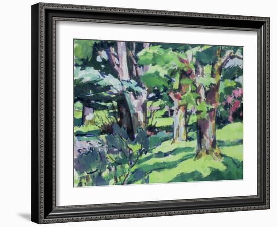 Trees at Auchinleck, Ayrshire-Francis Campbell Boileau Cadell-Framed Giclee Print