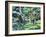 Trees at Auchinleck, Ayrshire-Francis Campbell Boileau Cadell-Framed Giclee Print