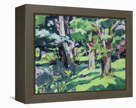 Trees at Auchinleck, Ayrshire-Francis Campbell Boileau Cadell-Framed Premier Image Canvas