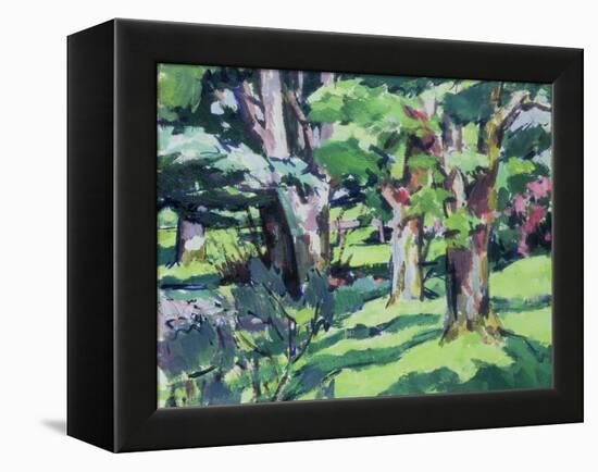 Trees at Auchinleck, Ayrshire-Francis Campbell Boileau Cadell-Framed Premier Image Canvas