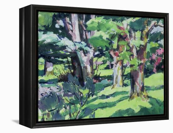 Trees at Auchinleck, Ayrshire-Francis Campbell Boileau Cadell-Framed Premier Image Canvas