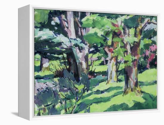 Trees at Auchinleck, Ayrshire-Francis Campbell Boileau Cadell-Framed Premier Image Canvas