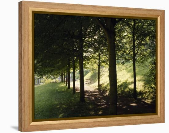 Trees at Bensheim, Staatspark Furstenlager - Germany-Roman von-Framed Premier Image Canvas