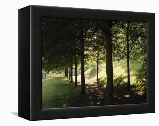 Trees at Bensheim, Staatspark Furstenlager - Germany-Roman von-Framed Premier Image Canvas