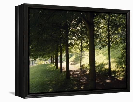 Trees at Bensheim, Staatspark Furstenlager - Germany-Roman von-Framed Premier Image Canvas