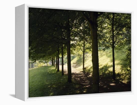 Trees at Bensheim, Staatspark Furstenlager - Germany-Roman von-Framed Premier Image Canvas