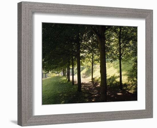 Trees at Bensheim, Staatspark Furstenlager - Germany-Roman von-Framed Photographic Print