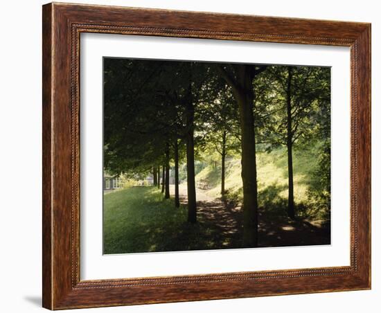 Trees at Bensheim, Staatspark Furstenlager - Germany-Roman von-Framed Photographic Print