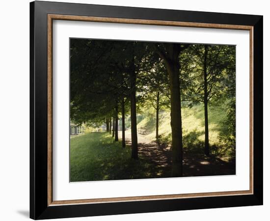 Trees at Bensheim, Staatspark Furstenlager - Germany-Roman von-Framed Photographic Print