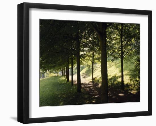 Trees at Bensheim, Staatspark Furstenlager - Germany-Roman von-Framed Photographic Print