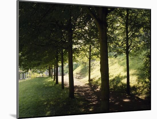 Trees at Bensheim, Staatspark Furstenlager - Germany-Roman von-Mounted Photographic Print