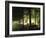 Trees at Bensheim, Staatspark Furstenlager - Germany-Roman von-Framed Photographic Print