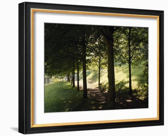 Trees at Bensheim, Staatspark Furstenlager - Germany-Roman von-Framed Photographic Print