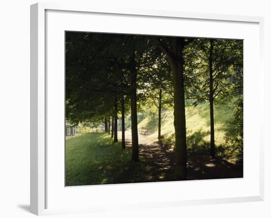 Trees at Bensheim, Staatspark Furstenlager - Germany-Roman von-Framed Photographic Print