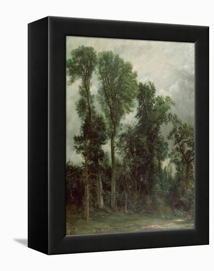 Trees at Hampstead-John Constable-Framed Premier Image Canvas
