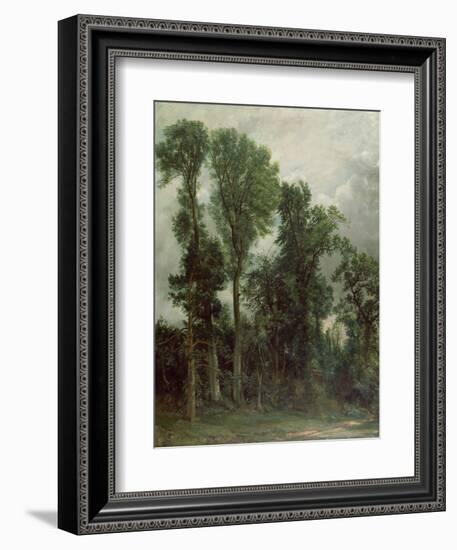 Trees at Hampstead-John Constable-Framed Giclee Print