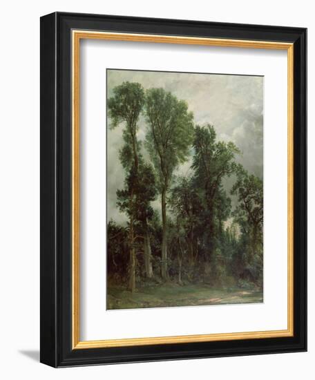 Trees at Hampstead-John Constable-Framed Giclee Print