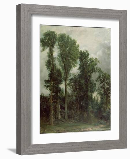 Trees at Hampstead-John Constable-Framed Giclee Print