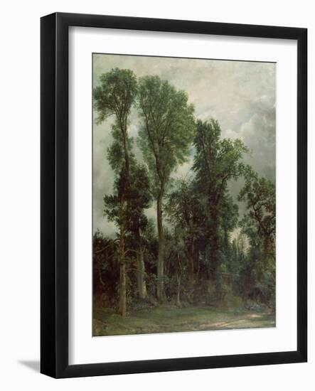 Trees at Hampstead-John Constable-Framed Giclee Print
