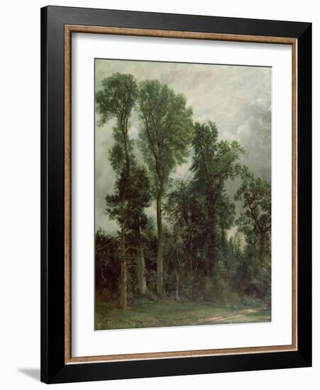 Trees at Hampstead-John Constable-Framed Giclee Print