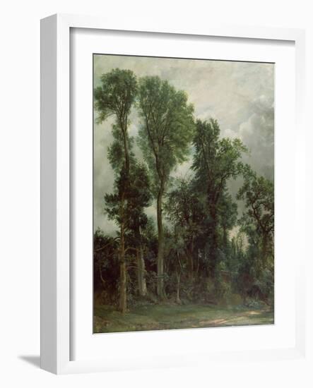 Trees at Hampstead-John Constable-Framed Giclee Print