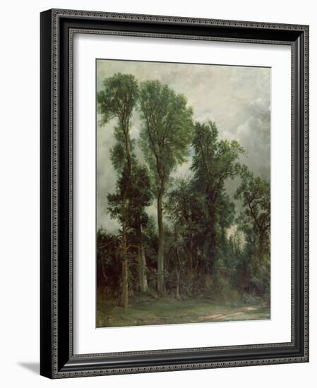 Trees at Hampstead-John Constable-Framed Giclee Print