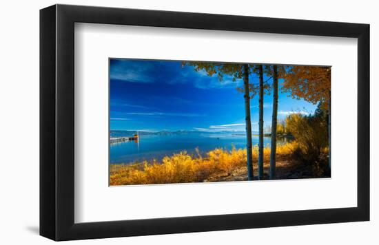 Trees at Lake Tahoe California USA-null-Framed Art Print