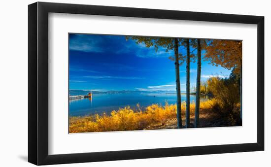 Trees at Lake Tahoe California USA-null-Framed Art Print