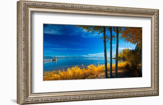 Trees at Lake Tahoe California USA-null-Framed Art Print