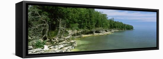 Trees at the Lakeside, Cave Point County Park, Lake Michigan, Door County, Wisconsin, USA-null-Framed Stretched Canvas