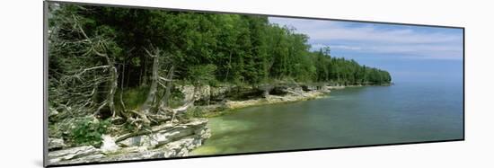 Trees at the Lakeside, Cave Point County Park, Lake Michigan, Door County, Wisconsin, USA-null-Mounted Photographic Print