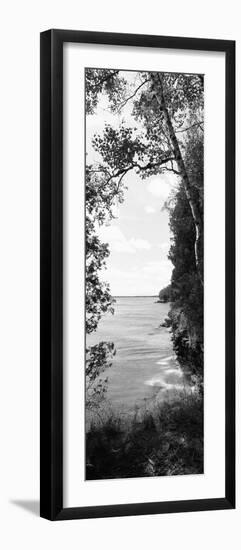 Trees at the Lakeside, Cave Point County Park, Lake Michigan, Door County, Wisconsin, USA-null-Framed Photographic Print