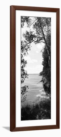 Trees at the Lakeside, Cave Point County Park, Lake Michigan, Door County, Wisconsin, USA-null-Framed Photographic Print