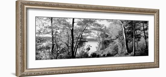 Trees at the Lakeside, Great Sacandaga Lake, Adirondack Mountains, New York State, USA-null-Framed Photographic Print