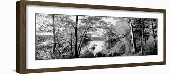 Trees at the Lakeside, Great Sacandaga Lake, Adirondack Mountains, New York State, USA-null-Framed Photographic Print