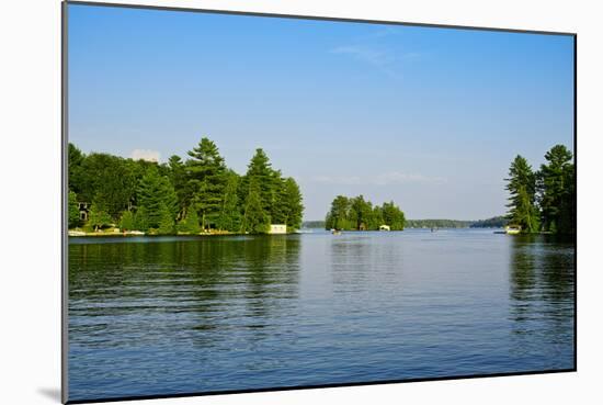 Trees at the Lakeside, Lake Muskoka, Ontario, Canada-null-Mounted Photographic Print