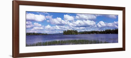 Trees at the Lakeside, Raquette Lake, Adirondack Mountains, New York State, USA-null-Framed Photographic Print