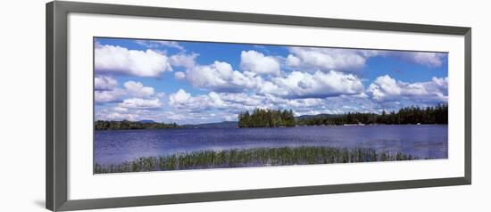 Trees at the Lakeside, Raquette Lake, Adirondack Mountains, New York State, USA-null-Framed Photographic Print