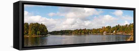 Trees at the Riverside, Moon River, Bala, Muskoka, Ontario, Canada-null-Framed Stretched Canvas