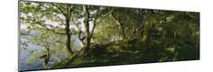 Photographic Print