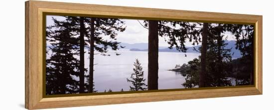 Trees at the Seaside, Teddy Bear Cove, Chuckanut Bay, Skagit County, Washington State, USA-null-Framed Premier Image Canvas