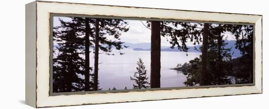 Trees at the Seaside, Teddy Bear Cove, Chuckanut Bay, Skagit County, Washington State, USA-null-Framed Premier Image Canvas