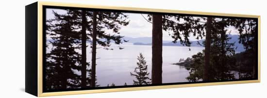 Trees at the Seaside, Teddy Bear Cove, Chuckanut Bay, Skagit County, Washington State, USA-null-Framed Premier Image Canvas