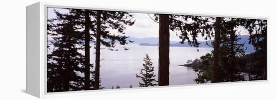 Trees at the Seaside, Teddy Bear Cove, Chuckanut Bay, Skagit County, Washington State, USA-null-Framed Premier Image Canvas