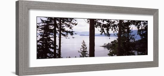 Trees at the Seaside, Teddy Bear Cove, Chuckanut Bay, Skagit County, Washington State, USA-null-Framed Photographic Print