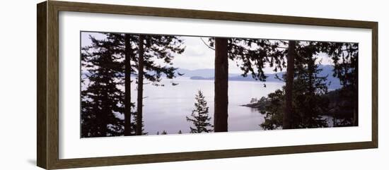 Trees at the Seaside, Teddy Bear Cove, Chuckanut Bay, Skagit County, Washington State, USA-null-Framed Photographic Print