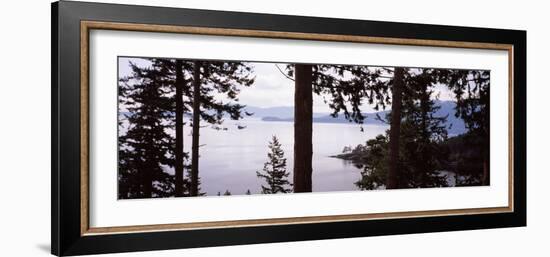 Trees at the Seaside, Teddy Bear Cove, Chuckanut Bay, Skagit County, Washington State, USA-null-Framed Photographic Print