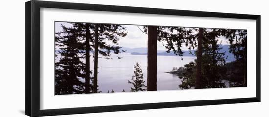 Trees at the Seaside, Teddy Bear Cove, Chuckanut Bay, Skagit County, Washington State, USA-null-Framed Photographic Print